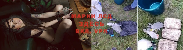 стафф Заволжье