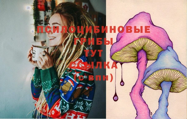 стафф Заволжье